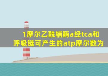 1摩尔乙酰辅酶a经tca和呼吸链可产生的atp摩尔数为