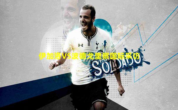 伊加洛VS波德戈里察国际采访