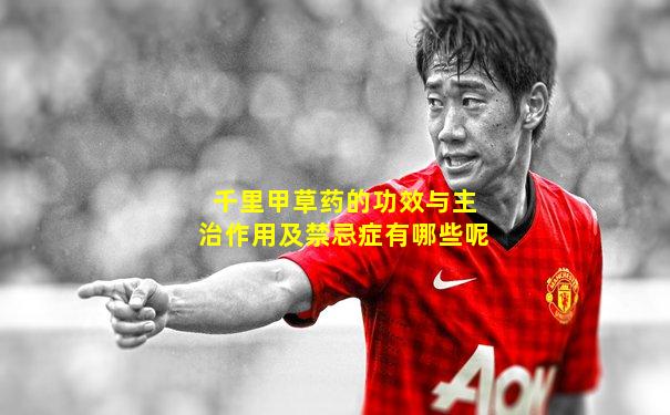 千里甲草药的功效与主治作用及禁忌症有哪些呢