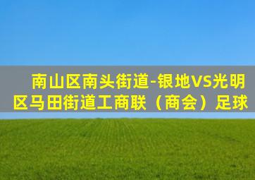 南山区南头街道-银地VS光明区马田街道工商联（商会）足球