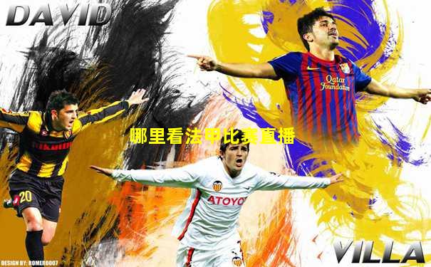 哪里看法甲比赛直播