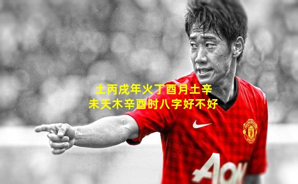 土丙戌年火丁酉月土辛未天木辛酉时八字好不好