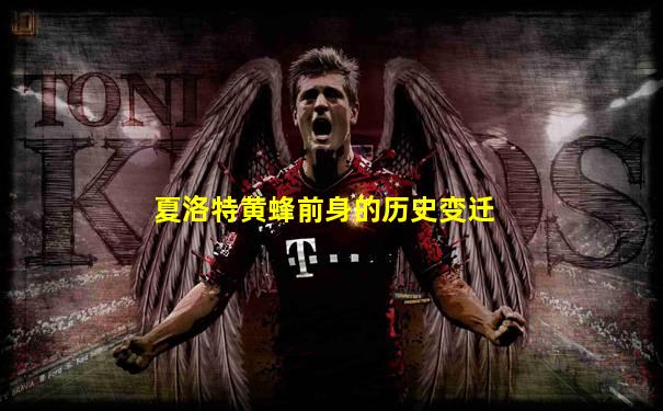 夏洛特黄蜂前身的历史变迁