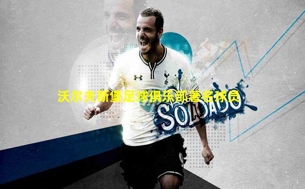 沃尔夫斯堡足球俱乐部著名球员