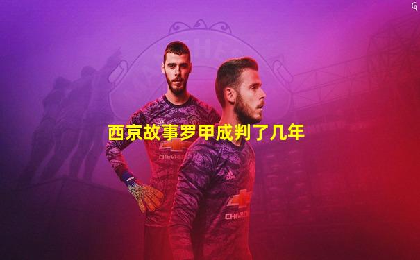 西京故事罗甲成判了几年