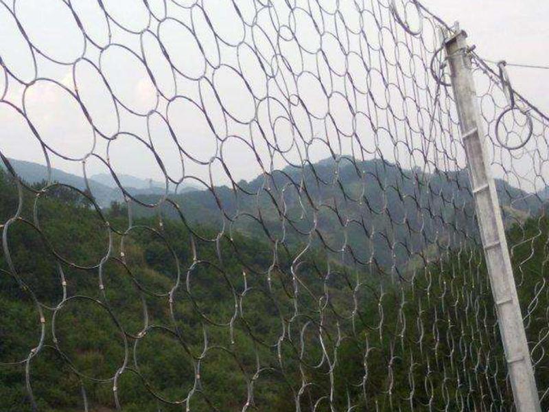 重庆RXI-200环形被动防护网