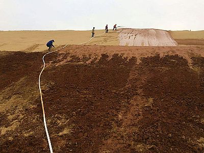 嘉峪关喷播植草案例