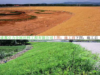 澳门边坡绿化喷混植生