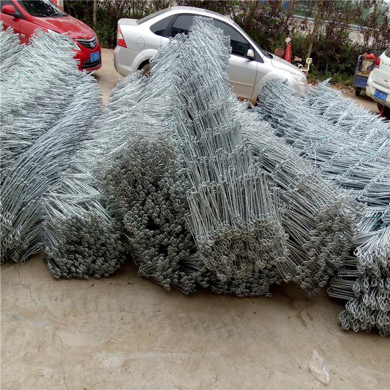 澳门绞索网