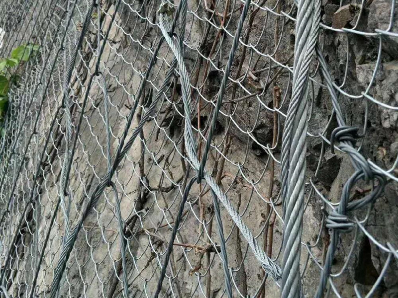 澳门绞索蜘蛛型防护网