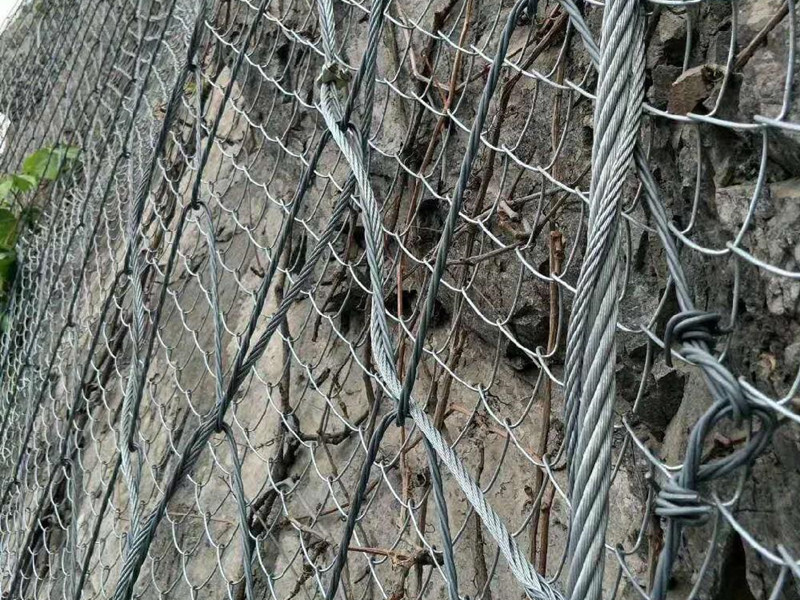 澳门热度钢丝菱形蜘蛛防护网